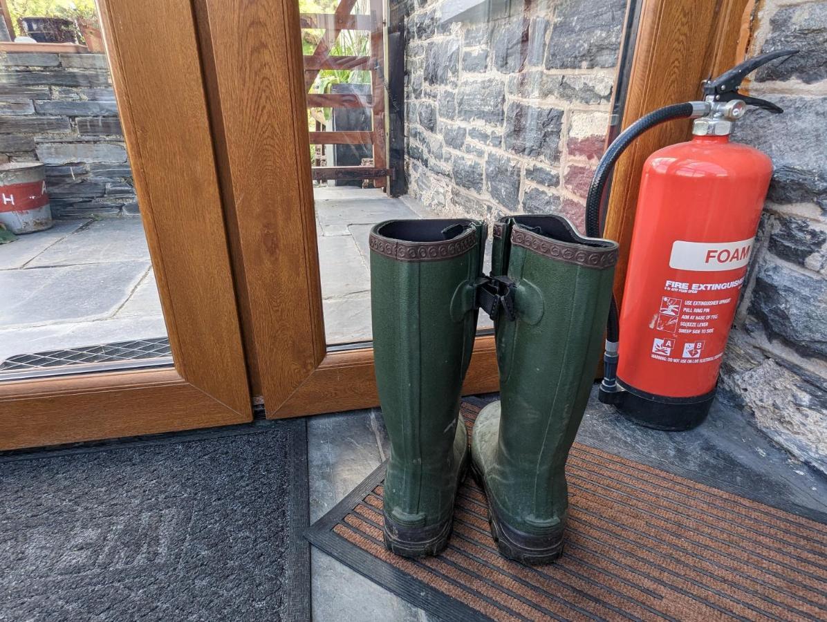 Bryn Elltyd Eco House Pensionat Blaenau Ffestiniog Eksteriør billede