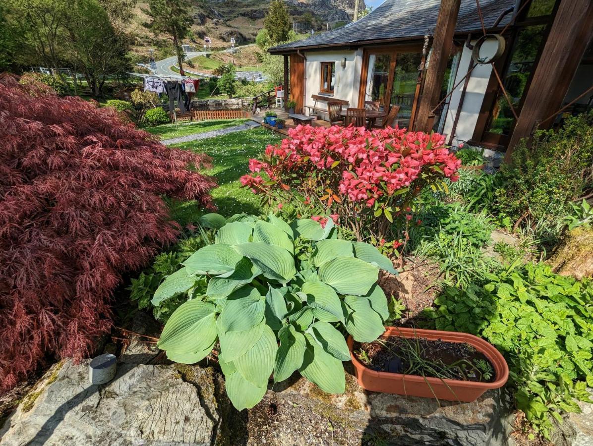 Bryn Elltyd Eco House Pensionat Blaenau Ffestiniog Eksteriør billede