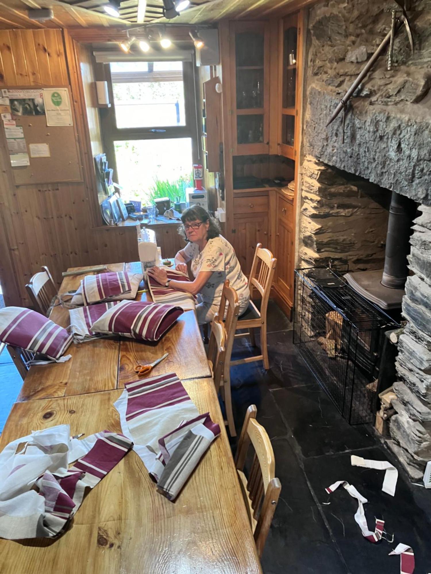 Bryn Elltyd Eco House Pensionat Blaenau Ffestiniog Eksteriør billede