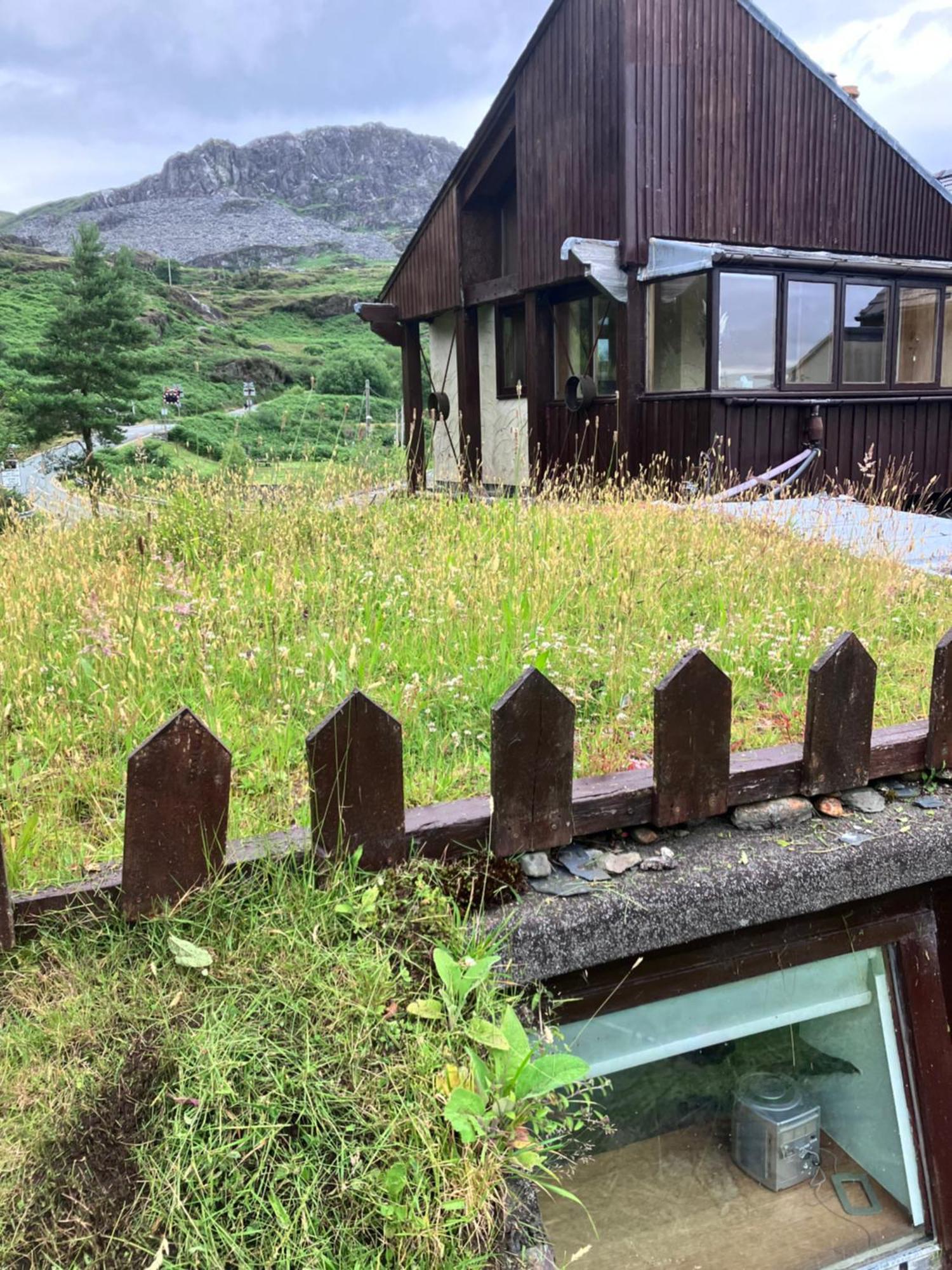 Bryn Elltyd Eco House Pensionat Blaenau Ffestiniog Eksteriør billede
