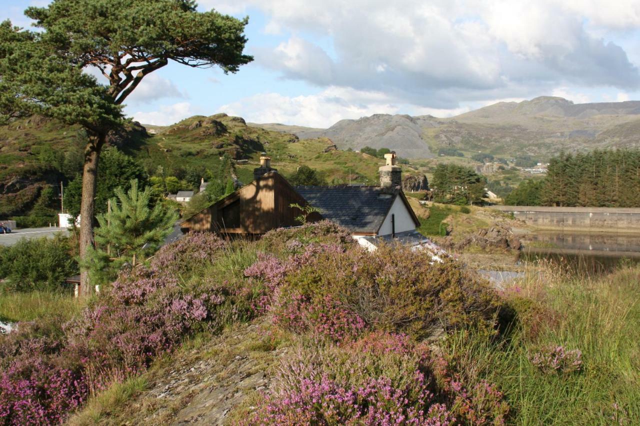 Bryn Elltyd Eco House Pensionat Blaenau Ffestiniog Eksteriør billede